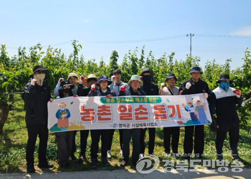 영덕군 시설체육사업소·체육회, 배 농가 찾아 농촌 일손돕기