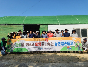 경산시 기획조정국 직원들, 영농철 농촌 일손돕기 ‘구슬땀’
