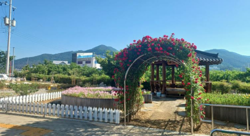 청도군, 추억쉼터 정원 재정비 실시 ‘텃밭 공간을 힐링 정원으로 새단장’