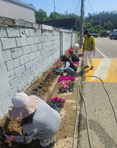 영덕군가족센터 행복나눔봉사단, 산불 이재민 위한 꽃밭 조성
