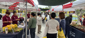 영천 '별빛 촌 목요 장터' 
