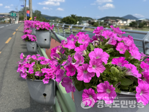경산시 자인면, 자인단오제 앞두고 화사한 꽃길 조성…손님맞이 분주
