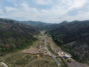 경북도, 안동 길안면 백자리 경북 제2호 산림경영특구 지정…산불 딛고 산림산업 거점 도약