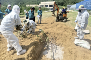청송군, 과수화상병 발생 대비 모의훈련 실시… 선제적 방역 총력