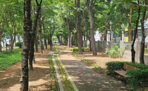대구 동구, 신기동 시설녹지 새단장…도심 속 녹색 휴식공간 조성