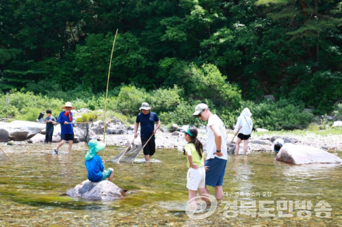 “초여름 울진 왕피천에서 즐기는 특별한 추억”