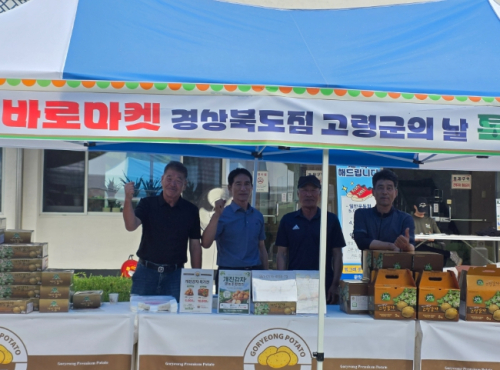 고령군, ‘바로마켓’서 농특산물 대축제... “포슬포슬 제철 감자 맛보세요”