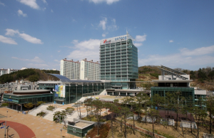 포항시, 민선9기 출범 맞아 골목경제 회복 본격 추진