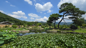 대구·경북 폭염 기승…낮 최고 34~35℃, 오후엔 소나기