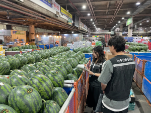 대구시, 휴가철 다소비 농산물 안전성 집중 검사…잔류농약 480종 정밀 분석