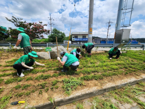 성주군 선남면 새마을회, 버스승강장 환경정비·꽃밭 가꾸기 구슬땀…쾌적한 마을 조성 앞장