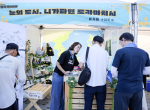 칠곡에서 눈과 쌀의 도시 도카마치,  첫 인사