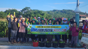 의성군 철파리 치매보듬마을, 정성으로 키운 옥수수 수확