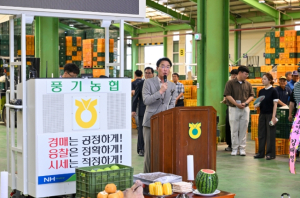 영주 여름사과 ‘썸머킹·썸머프린스’ 본격 출하… 산지유통 활성화 기대