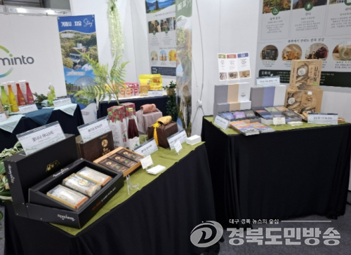 봉화군, 내륙형 치유·웰니스 거점 도약....‘숲에서 걷고 쉬고 머문다'