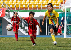 경주시, 유소년 축구 800팀 몰린다…화랑대기 28일 킥오프