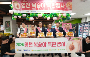 영천복숭아 90톤 전국 이마트 간다…132개점서 동시 판매