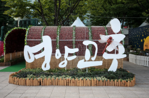 영양군, '2026 영양고추 H.O.T Festival' 개막 앞두고 총력 준비