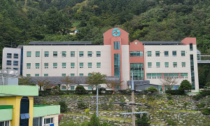 울릉군, 전문의 파견진료 한 달간 290명 이용…중증환자 11명 후송