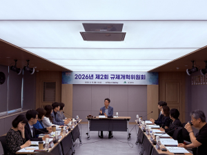 대구시, 시민·기업 불편 규제 25건 손질…지난해 실적의 5배
