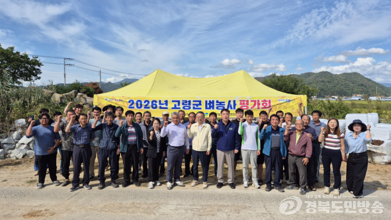 고령군, 벼농사 평가회…경북 육성 신품종 ‘다솜쌀’ 점검
