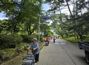 봉화군 치매안심센터, ‘한마음 치매극복 걷기행사’ 성황리 개최