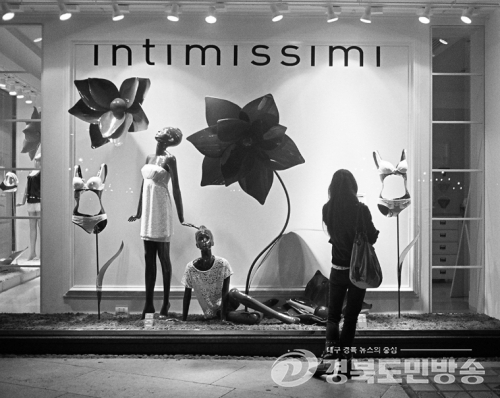안동시 이육사문학관 갤러리, 이재작가 `키노드라마` 특별사진전 개최