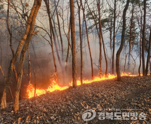 안동시, 추석 연휴 산불방지 특별대책 추진