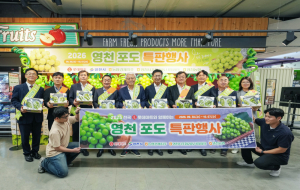 영천 포도 150t, 전국 롯데마트·슈퍼 321곳서 만난다