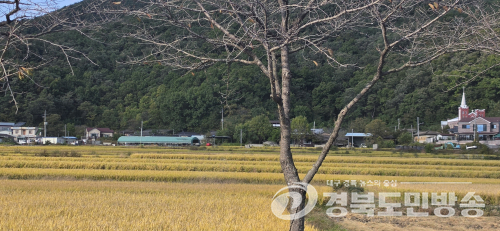 대구·경북 아침 기온 5도 ‘뚝’…찬바람에 쌀쌀