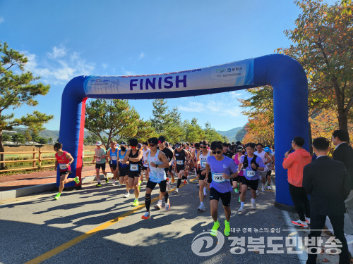 경북 공직자 350여 명, 봉화서 마라톤으로 화합 다져