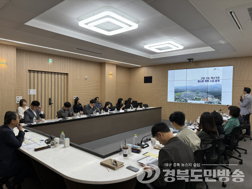 고령군, 대가야 역사 담은 원도심 거리 조성 추진
