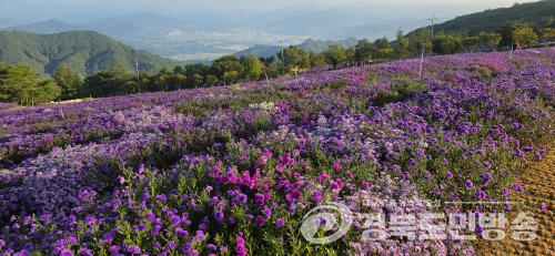 대구·경북 새벽 비 그친 뒤 구름…대구 낮 23도