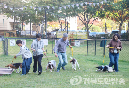트리니티항공, 은퇴 검역탐지견 입양 돕는 교감 여행