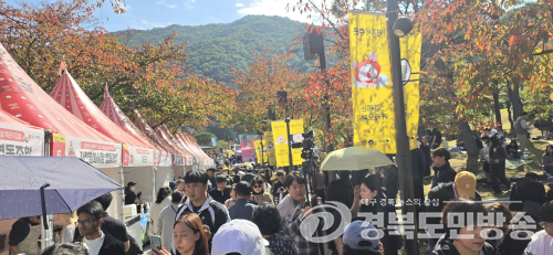 김천김밥축제, 인파는 넘치는데 안전요원은 어디 있나