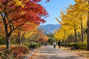 대구·경북 30일 새벽까지 비…오전부터 가끔 구름