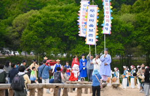 영주시, 외나무다리 따라 만난 삶의 여정…무섬외나무다리축제 성료
