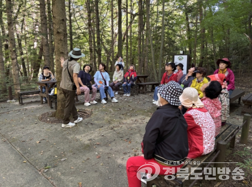 고령군, 치매환자·가족과 가야산서 산림치유 프로그램