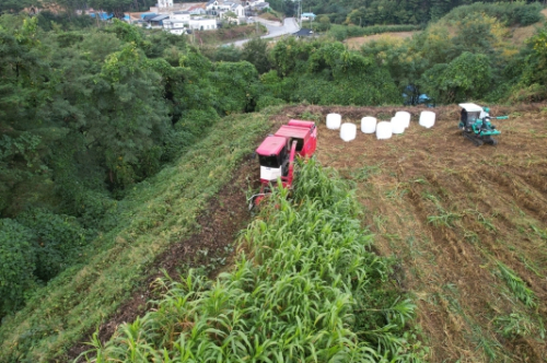 울진군, 조사료 수확 영농대행 지원…축산농가 경영비 절감 앞장