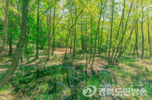 영양군, 제4차 람사르습지도시 인증 국내 후보지 최종 선정