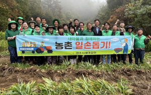 영주시새마을회, 생강 수확철 농촌일손돕기