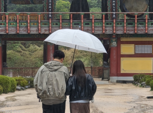 청도군, ‘청춘남녀 만남 행사’ 성황리 마무리