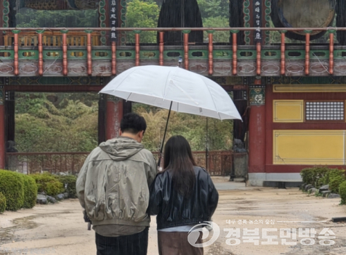 청도군, ‘청춘남녀 만남 행사’ 성황리 마무리