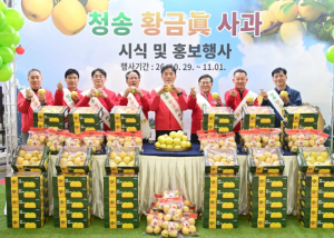청송군, 서울 양재 하나로마트서 ‘청송 황금사과’ 직판 행사 성황