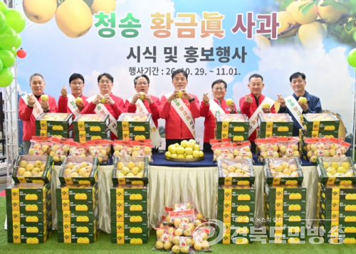 청송군, 서울 양재 하나로마트서 ‘청송 황금사과’ 직판 행사 성황